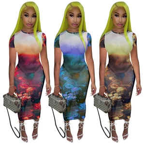 Vintage Renaissance Oil Painting Print Mesh Maxi Dress For Women Short Sleeve Bodycon Party Clubwear Nightclub Long Dress
