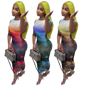 Women mesh maxi dress with sheer oil painting prints and slim fit bodycon silhouette