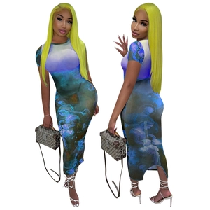 Slim fit mesh maxi dress featuring artistic oil painting print and side split detail