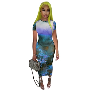 Close-up of see-through mesh dress featuring religious oil painting print and slim fit cut