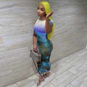 Detail of sheer mesh dress featuring colorful oil painting print and bodycon silhouette