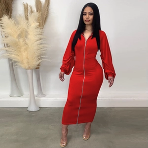 Detail of red slim dress featuring puff sleeves and vertical metal zipper closure