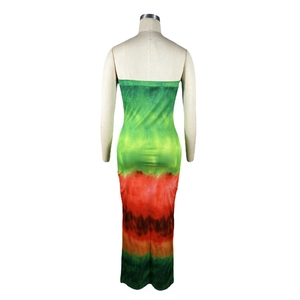 Back view detail of digital gradient print tube dress showing vibrant ombre color transitions
