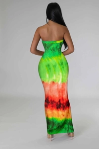 Back view of bodycon tube maxi dress with colorful digital gradient tie-dye print