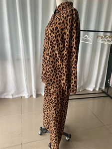 Vue latérale d'une chemise à manches longues et d'un pantalon à imprimé léopard