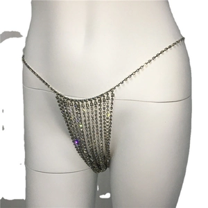 Sparkling silver rhinestone body chain bikini brief for clubwear and fashion styling