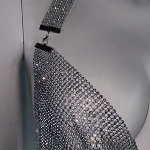 Détail d'un haut licou en strass argenté montrant les chaînes à franges et le fermoir métal