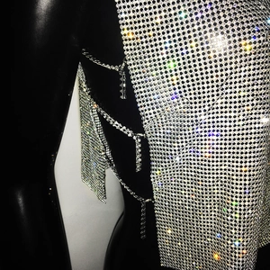 Detailed macro shot of silver rhinestone mesh fabric and sparkling side fringe chains