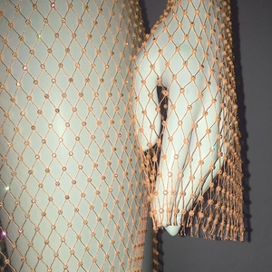 Détail de la robe en résille avec strass brillants et finitions à franges aux manches