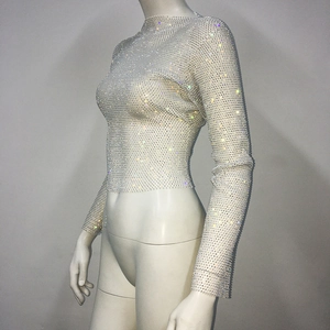 Close-up of mesh long sleeve crop top featuring sparkling rhinestones and high neck detail