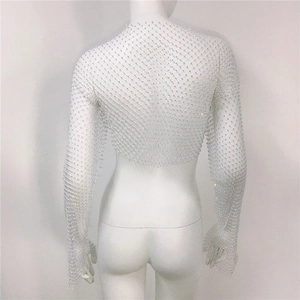 Macro shot of white rhinestone mesh cropped top with long sleeves and shimmering detail