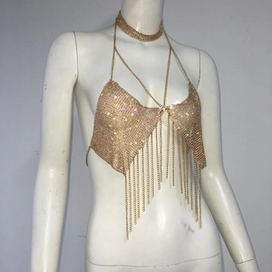 Detailed view of golden rhinestone mesh crop top with shimmering metal fringe tassels