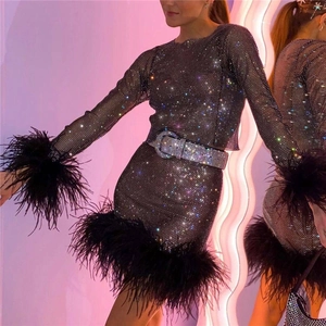 Detail von Netz-Kleid mit Strasssteinen, Straußenfedern und Gürtel mit Kristallschnalle