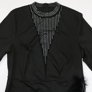 Detail of black dress featuring sheer V-neck mesh with silver rhinestones and feather trim