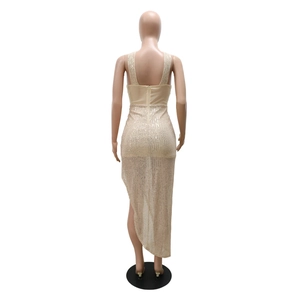 Detailed back view of a champagne sequin party dress with U-shape open back and zipper
