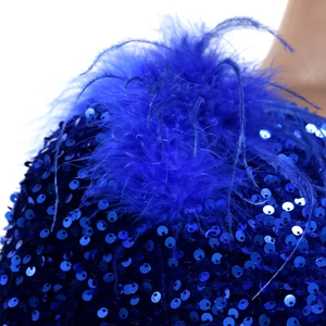 Detail of royal blue sequins and soft feather trim on a one-shoulder party dress
