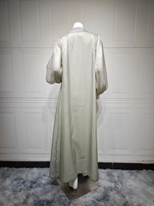Rear view of elegant silver-green sequined long sleeve dress on a white mannequin