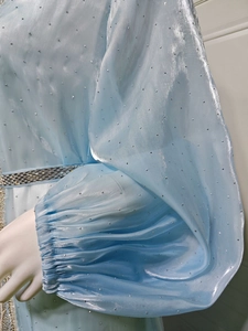 Detail of light blue puff sleeves and sparkling rhinestone belt on the elegant dress