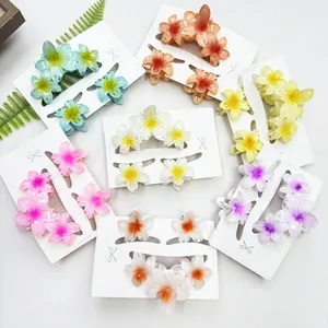 Dettaglio dei fermagli per capelli a forma di fiore di plumeria su schede di presentazione