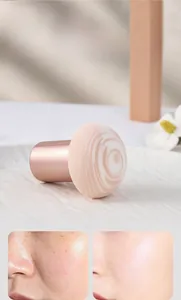 Macro detail of mushroom head makeup sponge and facial concealing application