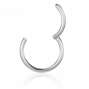 Detail showing the ASTM F136 titanium seamless ring with smooth polished finish and segment hinge