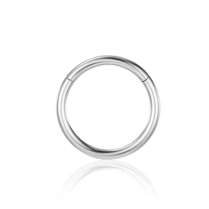 Polished silver F136 titanium seamless segment ring for nose or ear piercings with reflection