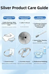 Maintenance guide for S925 sterling silver jewelry including cleaning and care tips