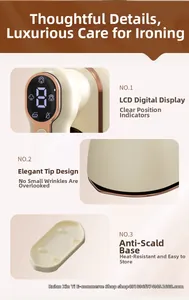 Detail of portable steam iron with LCD display, pointed soleplate and heatproof base