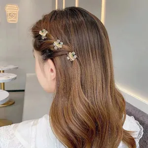 Mini pinzas para el cabello con flores y pétalos traslúcidos en un peinado trenzado