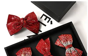 Détail macro de barrette nœud strass rouges avec cristaux brillants dans coffret noir