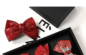 Détail de la pince à cheveux nœud en strass rouges avec cristaux brillants en coffret