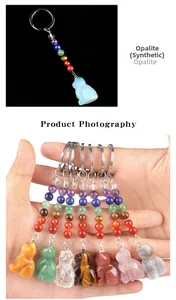 Gedetailleerd overzicht van 7 chakra kristallen kattenhangers met diverse stenen.