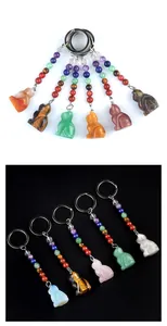 Detailweergave van de kleurrijke chakra steen kat sleutelhangers op zwart en wit