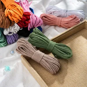 Détail de cordons tressés en coton de 3mm en couleurs variées pour le bricolage créatif