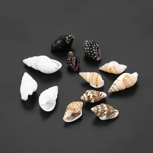 Sortiment natürlicher Mini-Seemuscheln für DIY-Handwerk und Dekoration auf dunklem Grund