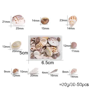 Natural Sea Shells Mixed Conch Shells For DIY Jewelry Making Crafts Home Aquarium Decoration Ocean Theme Party Decor