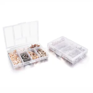 Bunte natürliche Muscheln in einer transparenten 7-Fächer-Kunststoffbox für DIY-Bastelarbeiten