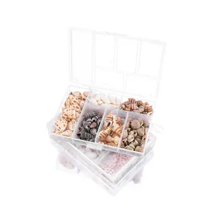 6-Fächer-Aufbewahrungsbox mit gemischten Natürmuscheln und Schnecken für DIY-Bastelarbeiten