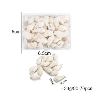 Natural white spiral seashells for DIY jewelry making and ocean-themed craft decoration