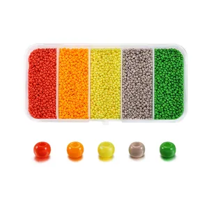 Scatola a 5 scomparti con perline di vetro da 2mm per la creazione di gioielli fai-da-te