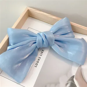 Gros plan sur le nœud papillon en satin bleu clair nacré sur cadre en bois