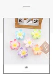 Detailansicht bunter ABS-Haarklammern mit fünfblättrigem Blumendesign für Frauen