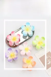 Sechser-Set bunte matte Blumen-Haarklammern mit Farbverlauf auf silbernem Tablett