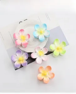 Nahaufnahme von sechs matten Blumen-Haarklammern in Pastellfarben auf einem weißen Teller