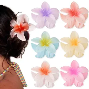 Lot de pinces à cheveux en forme de fleur de frangipanier aux couleurs dégradées