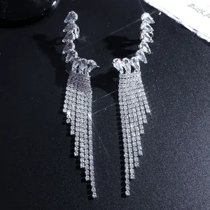 Detailed view of silver tassel earrings with sparkling teardrop crystals and long fringe