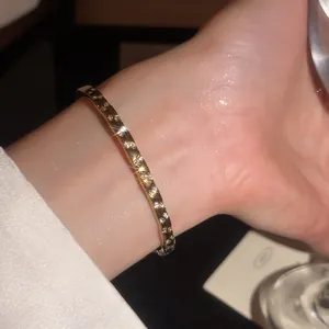 Détail d'un bracelet jonc en acier doré orné de zircons cubiques étincelants