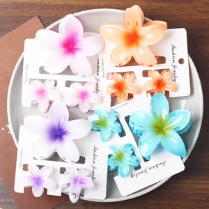 Lot de pinces à cheveux fleur en résine mate colorée sur une élégante assiette en céramique