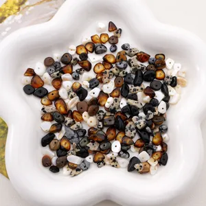 DIY jewelry making kit with 5-8mm irregular natural stone and shell beads in a star tray