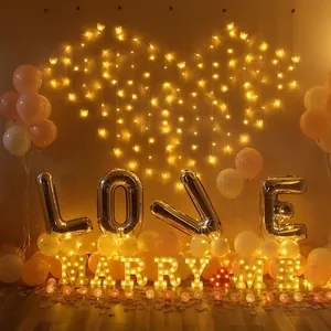 Romantic LED star lights and MARRY ME letter set for marriage proposal decoration